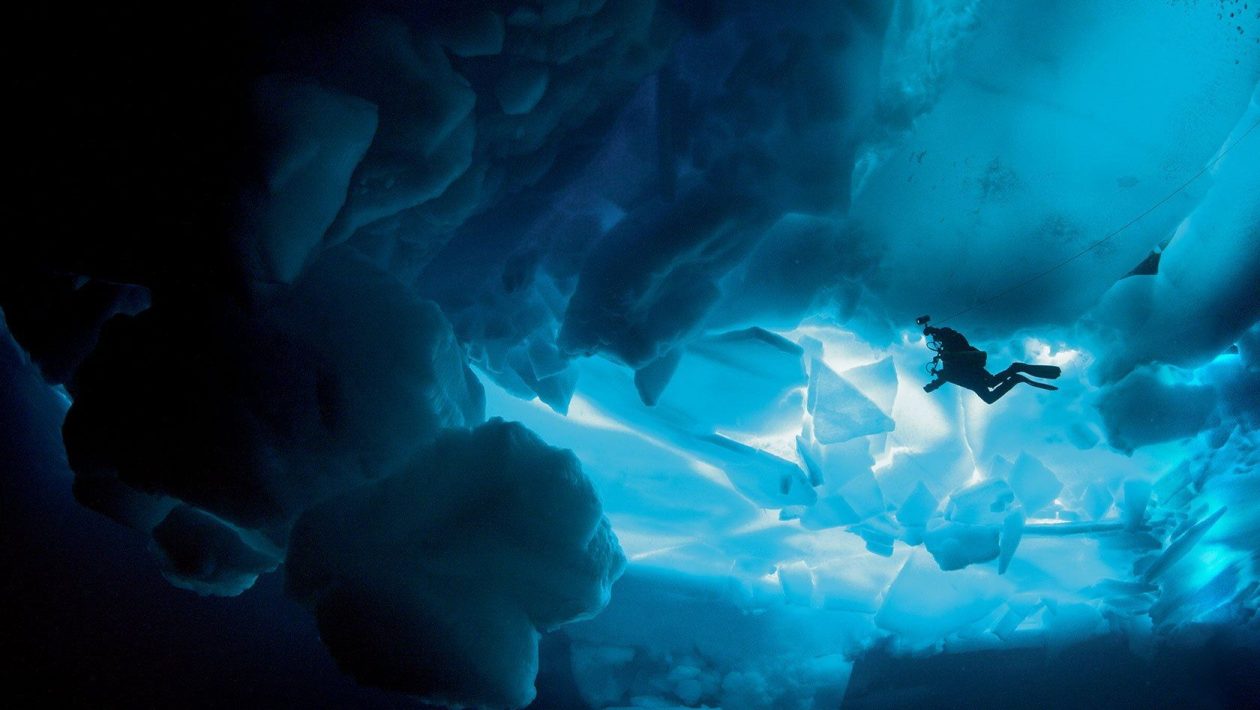 Antarctica