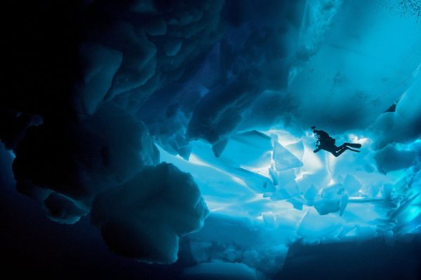 Antarctica