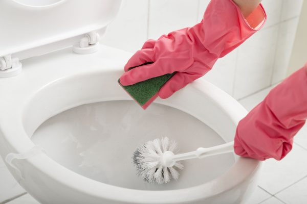 toilet