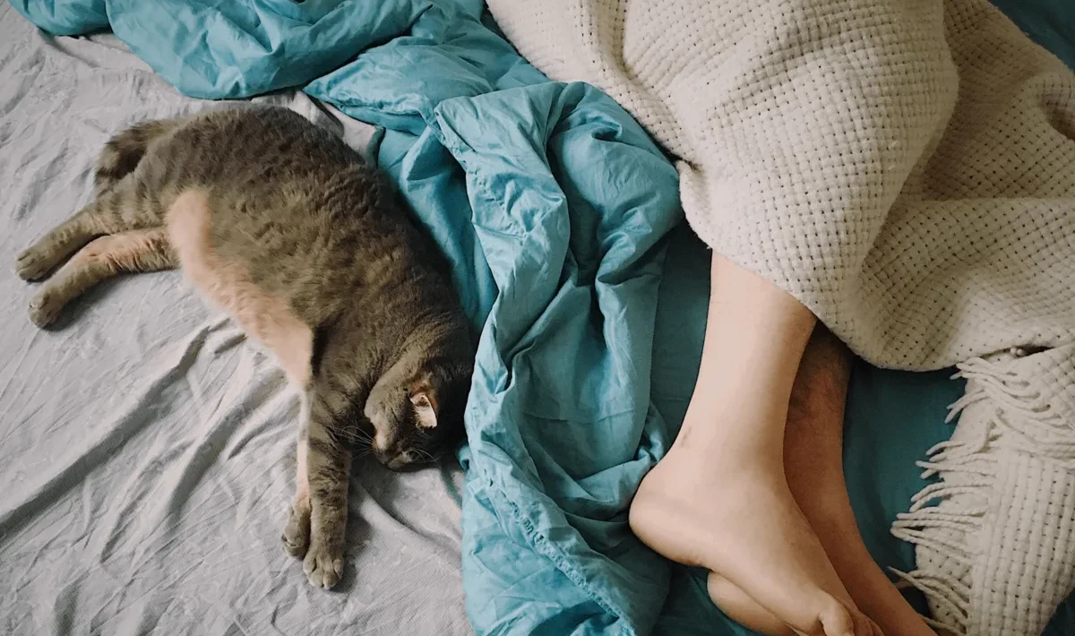 kat