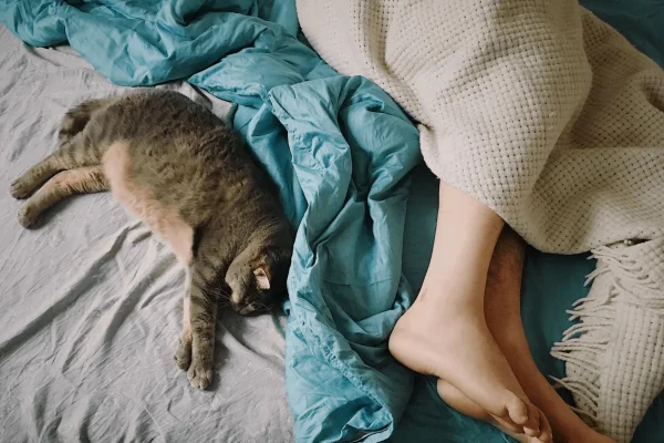 kat