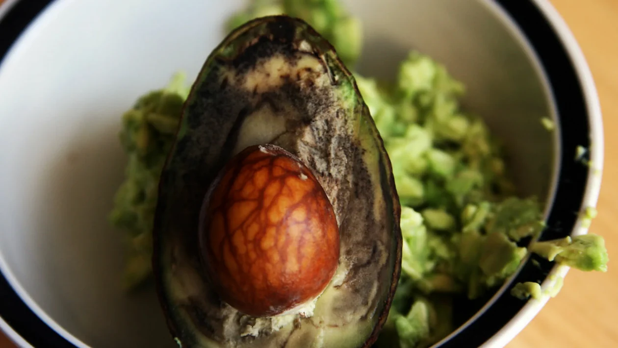 avocado