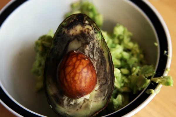 avocado
