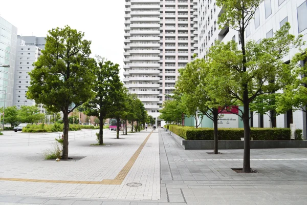 stadsbomen